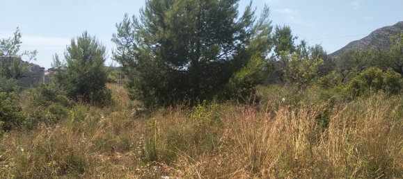 Земельный участок 4986м² в Кастельон, Испания № 190630 45