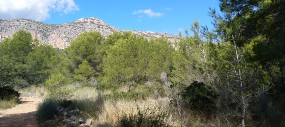 Земельный участок 4986м² в Кастельон, Испания № 190630 32