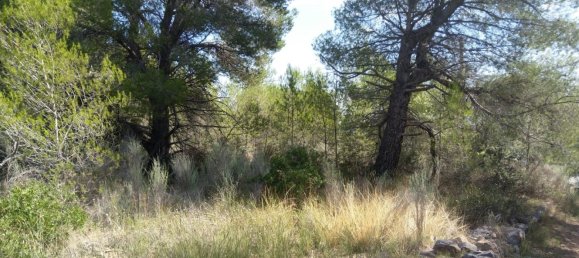 Земельный участок 4986м² в Кастельон, Испания № 190630 28