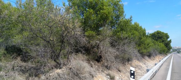 Земельный участок 4986м² в Кастельон, Испания № 190630 10