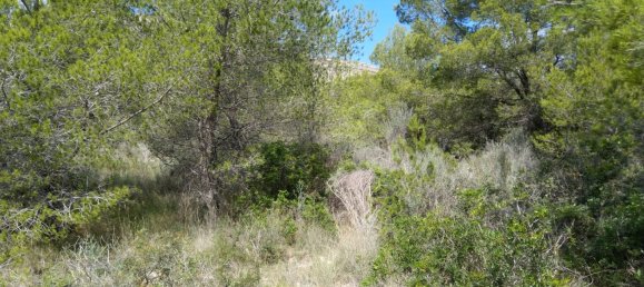 Земельный участок 4986м² в Кастельон, Испания № 190630 31