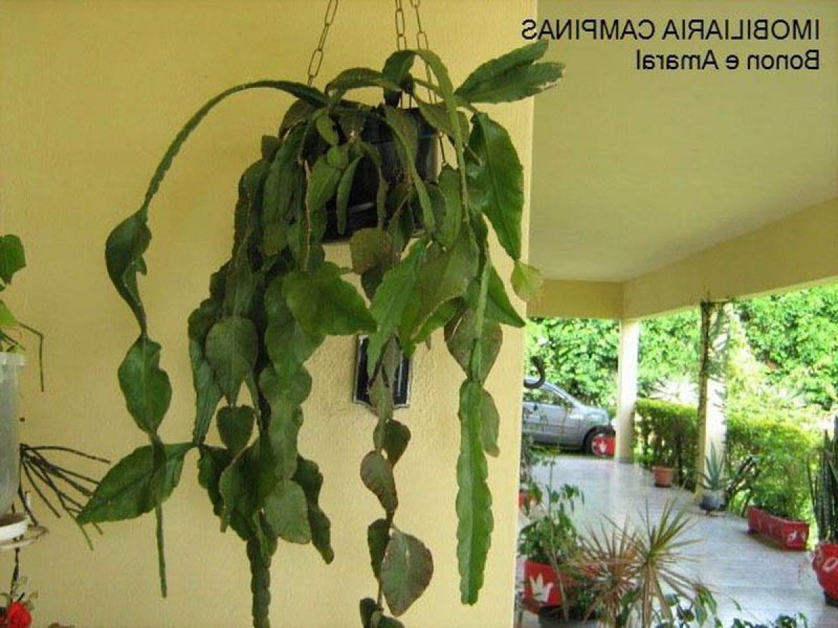 3 bedrooms House in Sao Paulo, Brazil No. 576149