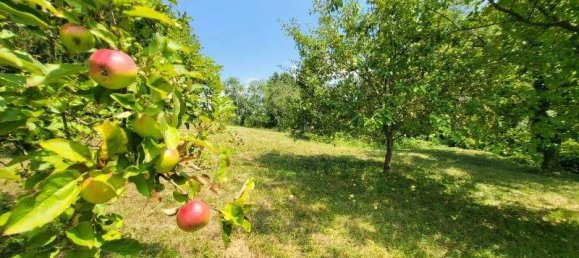 Terreno en Furstenfeld, Austria No. 248633 2