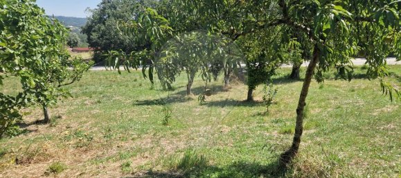 2 bedrooms House in Pombal, Portugal No. 176056 14