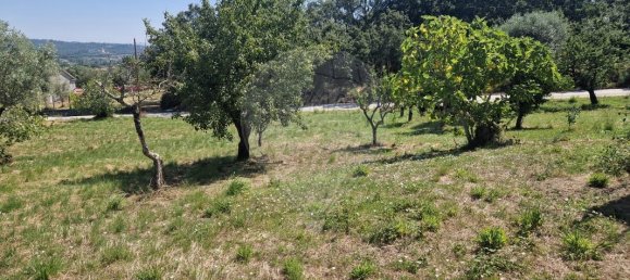 2 bedrooms House in Pombal, Portugal No. 176056 10