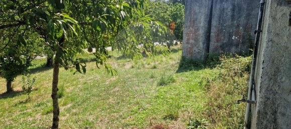 2 bedrooms House in Pombal, Portugal No. 176056 9