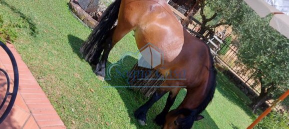 5 غرف نوم منزل في Arcola, Italy رقم 140013 20