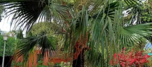 4 bedrooms House in Cadiz, Spain No. 170615 8