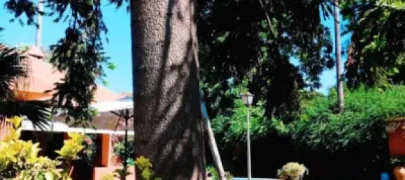 4 bedrooms House in Cadiz, Spain No. 170615 11