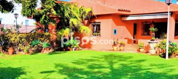 4 bedrooms House in Cadiz, Spain No. 170615 19