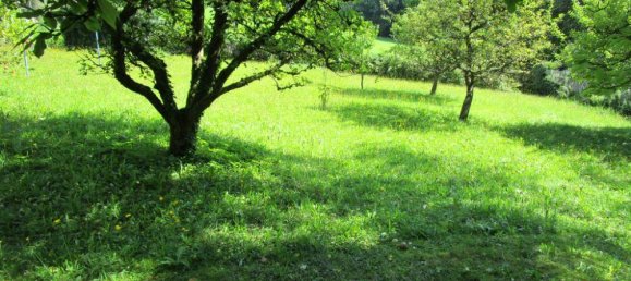  قطعة أرض في Nurnberger Land, Germany رقم 193942 3