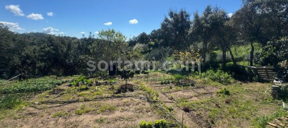 2 غرف نوم منزل في Sao Bras de Alportel, Portugal رقم 93346 14