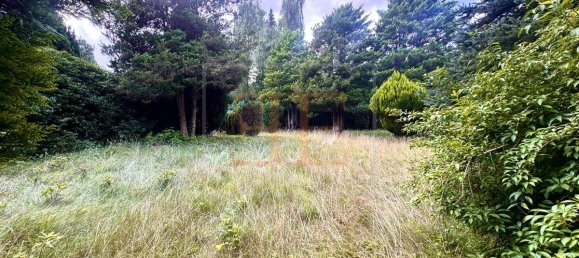  قطعة أرض في Pinneberg, Germany رقم 358956 4