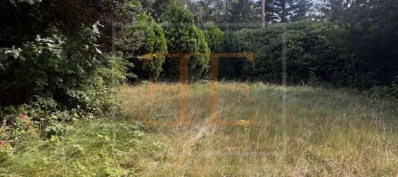  قطعة أرض في Pinneberg, Germany رقم 358956 5