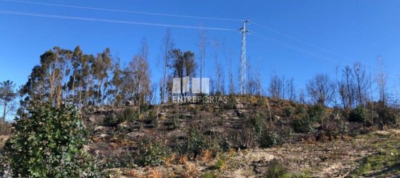  قطعة أرض في Baiao, Portugal 1320متر مربع رقم 56158 22