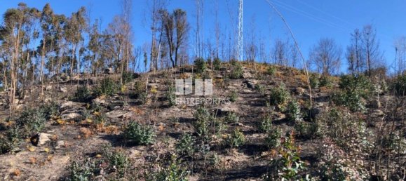  قطعة أرض في Baiao, Portugal 1320متر مربع رقم 56158 14