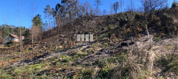  قطعة أرض في Baiao, Portugal 1320متر مربع رقم 56158 5