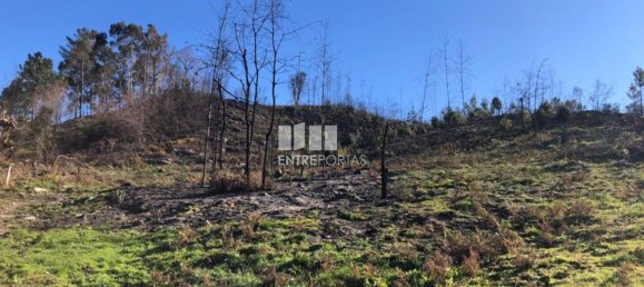  قطعة أرض في Baiao, Portugal 1320متر مربع رقم 56158 28