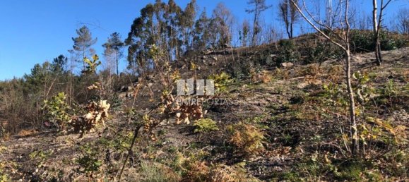  قطعة أرض في Baiao, Portugal 1320متر مربع رقم 56158 13