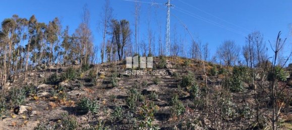  قطعة أرض في Baiao, Portugal 1320متر مربع رقم 56158 20