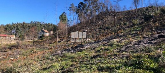  قطعة أرض في Baiao, Portugal 1320متر مربع رقم 56158 7