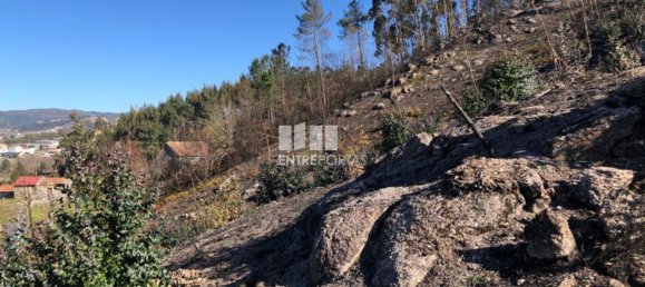  قطعة أرض في Baiao, Portugal 1320متر مربع رقم 56158 10