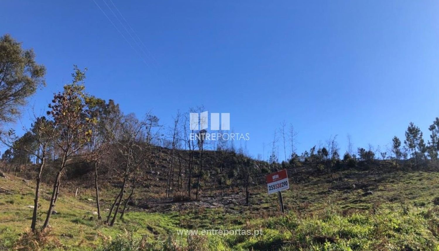  قطعة أرض في Baiao, Portugal 1320متر مربع رقم 56158
