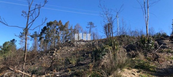  قطعة أرض في Baiao, Portugal 1320متر مربع رقم 56158 26