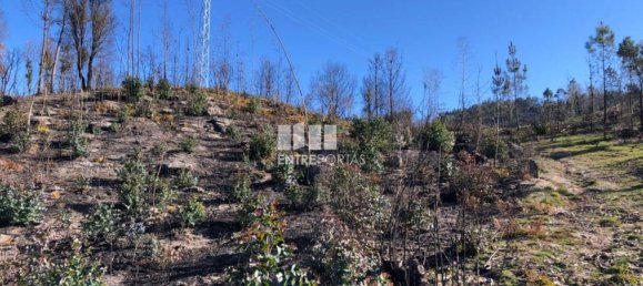  قطعة أرض في Baiao, Portugal 1320متر مربع رقم 56158 2