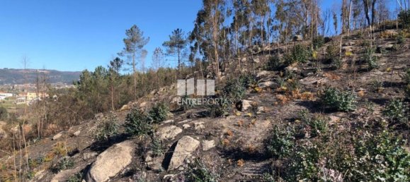  قطعة أرض في Baiao, Portugal 1320متر مربع رقم 56158 15