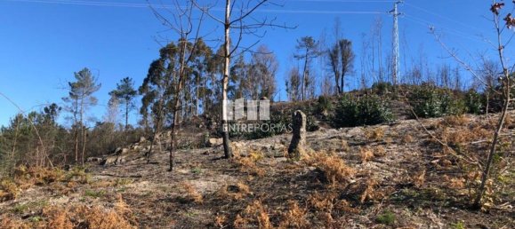  قطعة أرض في Baiao, Portugal 1320متر مربع رقم 56158 18