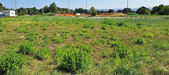 1 room Land in Montemarciano, Italy No. 122667 4