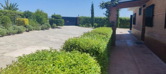 4 bedrooms House in El Molar, Spain No. 143116 4