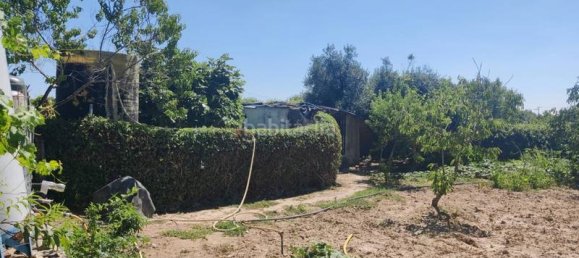 4 bedrooms House in El Molar, Spain No. 143116 37