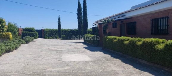 4 bedrooms House in El Molar, Spain No. 143116 14