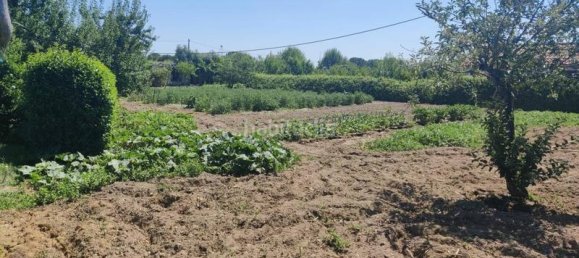 4 bedrooms House in El Molar, Spain No. 143116 33