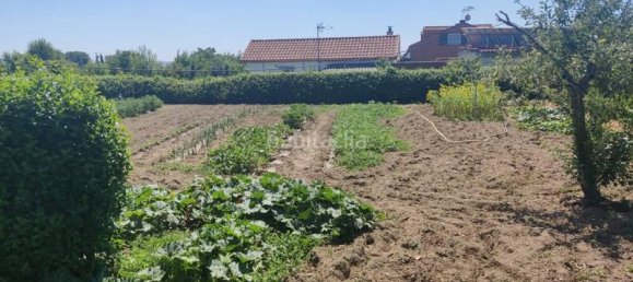 4 bedrooms House in El Molar, Spain No. 143116 36