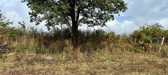 Terreno en Vue, France No. 283608 3