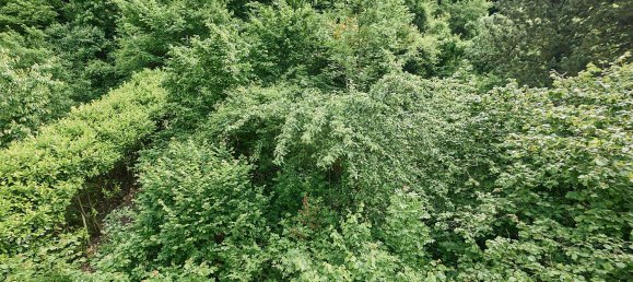 6 rooms House in Rottweil, Germany No. 11904 10