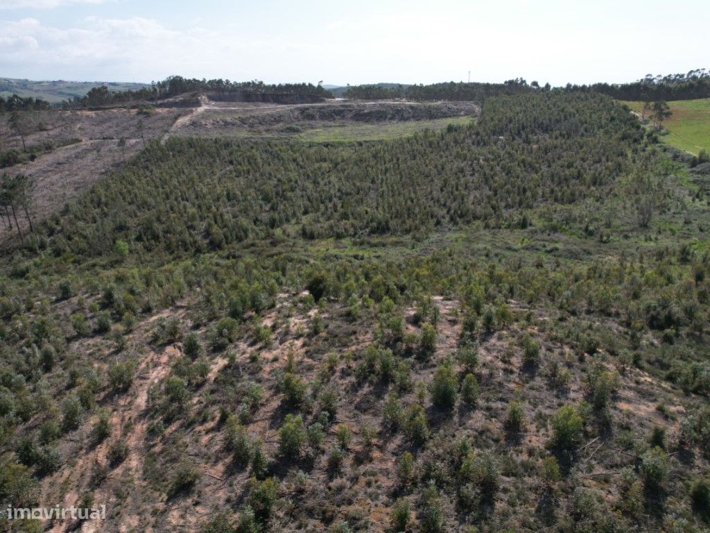 Terrain à Torres Vedras, Portugal 68280m² No. 355505