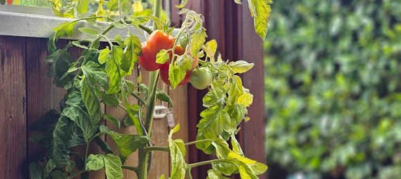 1 bedroom House in Cloppenburg, Germany No. 280622 34