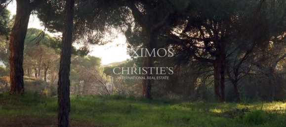 Terrain à Almancil, Portugal 530m² No. 70829 4