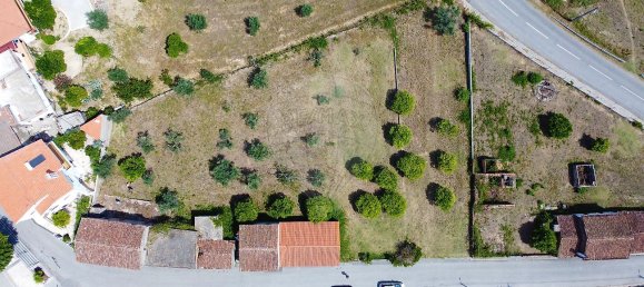 4 Schlafzimmer Haus in Serta, Portugal, Nr. 32000 5