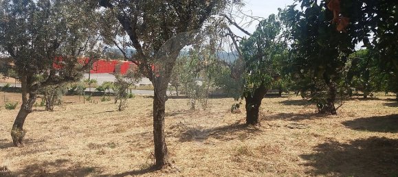 4 Schlafzimmer Haus in Serta, Portugal, Nr. 32000 10