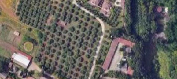 Büro in Genzano di Roma, Italy 265m², Nr. 324061 9