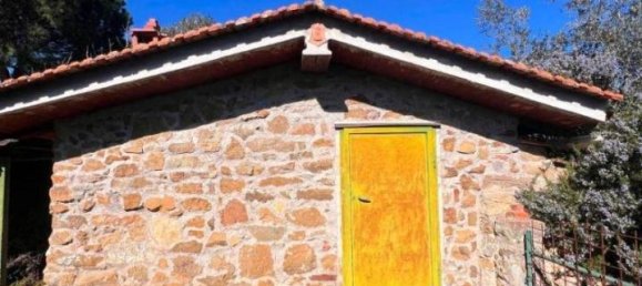  قطعة أرض في Laterina Pergine Valdarno, Italy 4164متر مربع رقم 137390 20