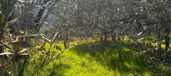  قطعة أرض في Laterina Pergine Valdarno, Italy 4164متر مربع رقم 137390 8