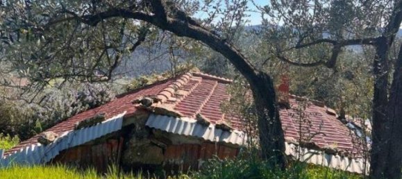  قطعة أرض في Laterina Pergine Valdarno, Italy 4164متر مربع رقم 137390 16