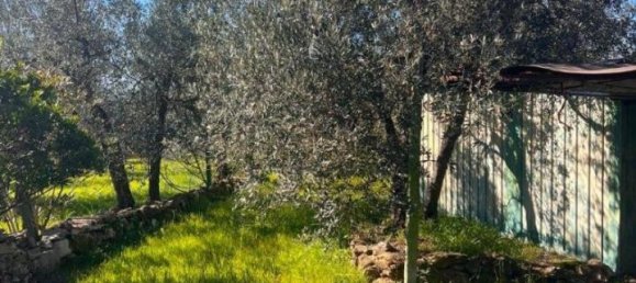  قطعة أرض في Laterina Pergine Valdarno, Italy 4164متر مربع رقم 137390 6