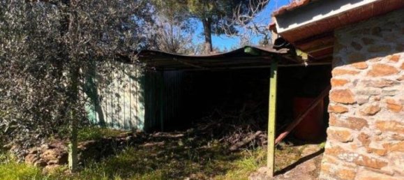  قطعة أرض في Laterina Pergine Valdarno, Italy 4164متر مربع رقم 137390 2